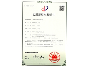 一种视屏显微镜检测系统